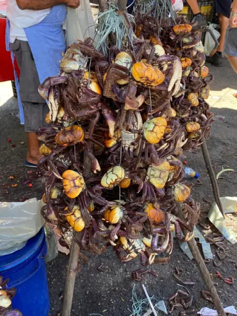 Feira do Alecrim, em Natal/RN: foto 6