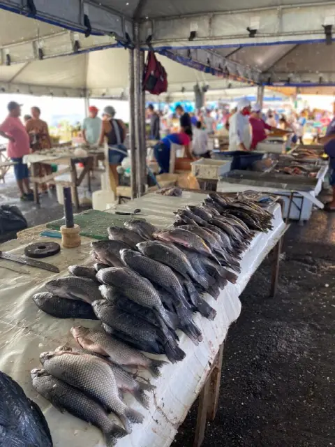 Feira do Alecrim, em Natal/RN: foto 7