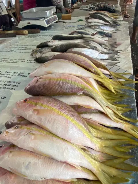 Feira do Alecrim, em Natal/RN: foto 8