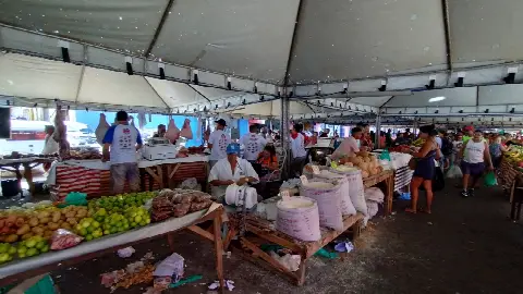 Feira do Alecrim, em Natal/RN: foto 13