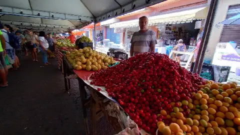 Feira do Alecrim, em Natal/RN: foto 14
