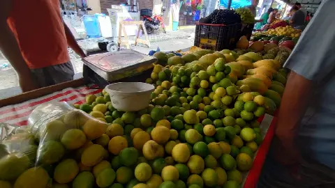 Feira do Alecrim, em Natal/RN: foto 15
