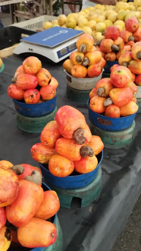 Feira do Alecrim, em Natal/RN: foto 3
