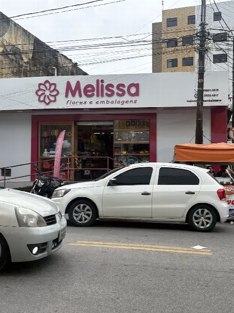 Melissa flores e embalagens